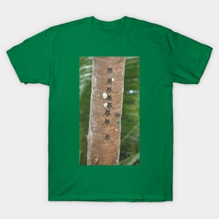 White-lined Bats T-Shirt